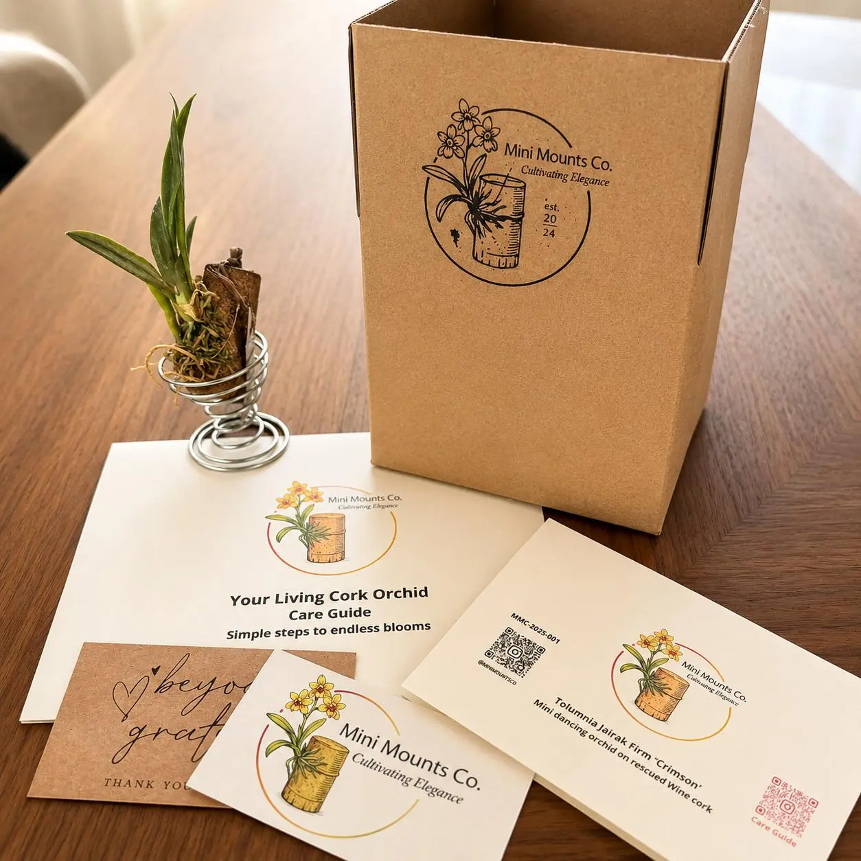 Mini Mounts Co. orchid packaging with plant identification, care guide and display stand
